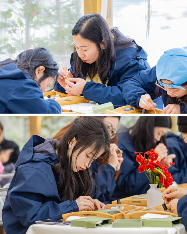 1741827705560636.jpg 17.jpg